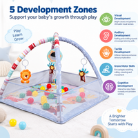 Baby play gym with hanging mirror and animal toys