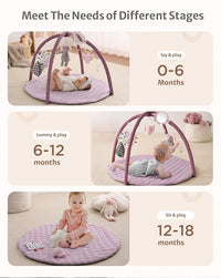 Baby play gym with detachable hanging activity toys