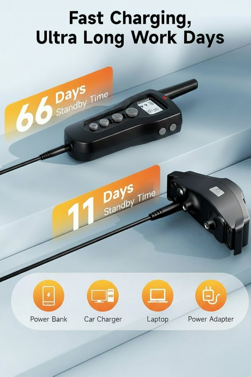 Black Dog Training Collar With Handheld Remote Control
