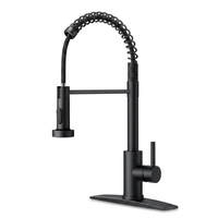 Black Kitchen Faucet
