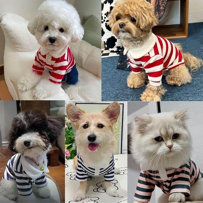 Breathable Pet Shirt For Daily Indoor And Outdoor Wear