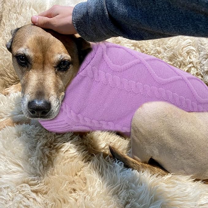 Cable Knit Dog Sweater For Small Breed Dog
