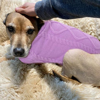 Cable Knit Dog Sweater For Small Breed Dog