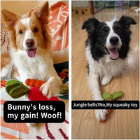 Carrot shape dog toy for medium dogs interactive play