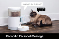 Cat And Dog Feeder With Automatic Food Dispensing Design