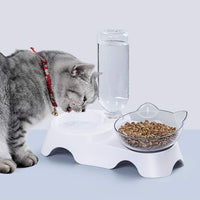 Cat And Dog Feeding Station With Dual Bowl Design