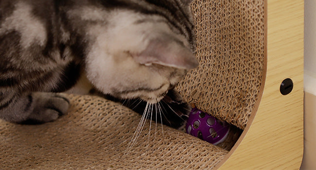 Cat Relaxing on L-Shaped Scratching Board