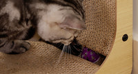 Cat Relaxing on L-Shaped Scratching Board