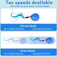Interactive Cat Toy Ball with Dangling Tails to Engage Cats in Active Play