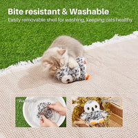Indoor cat playing with interactive owl toy