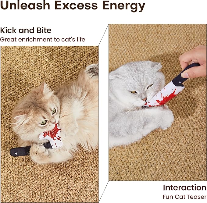 Indoor kittens playing with 4-pack Halloween catnip toys