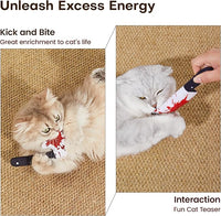 Indoor kittens playing with 4-pack Halloween catnip toys