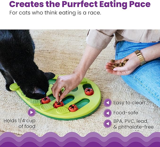 Cat pawing at puzzle feeder to retrieve hidden treats