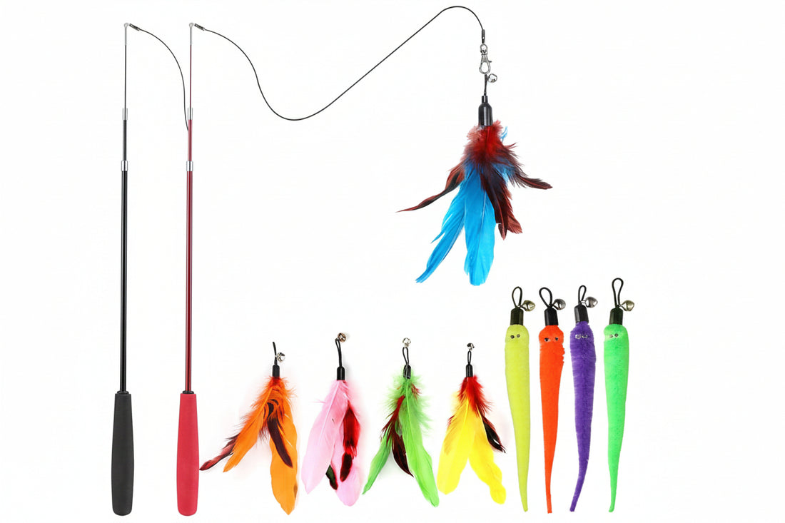 Indoor cat chasing feather attached to retractable wand toy