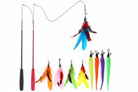 Indoor cat chasing feather attached to retractable wand toy