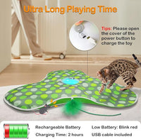 Kitten playing with interactive feather toy for indoor fun