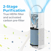 PureZone Mini Portable Air Purifier – True HEPA 13 & Activated Carbon