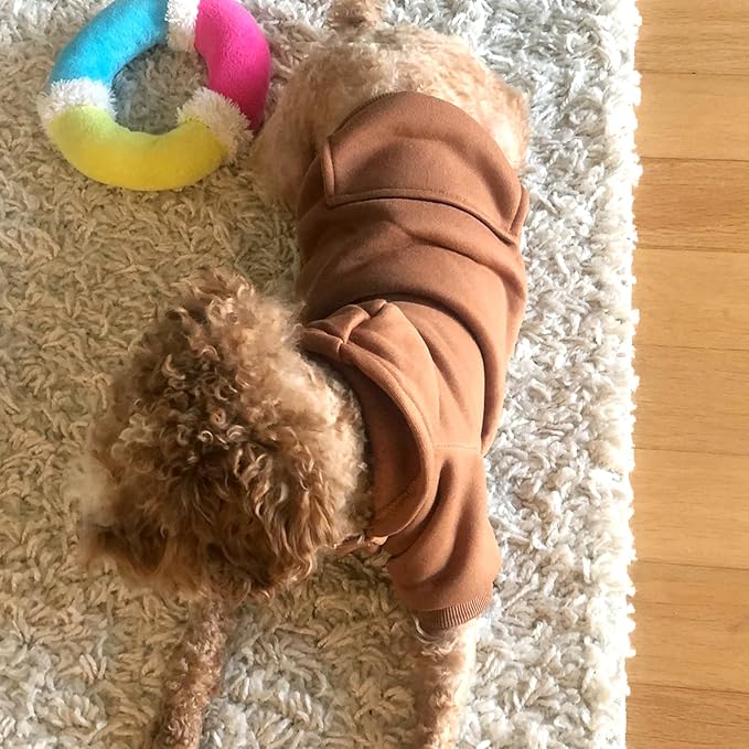 Winter hoodie sweatshirt for Chihuahuas, with functional pockets and a stylish design.