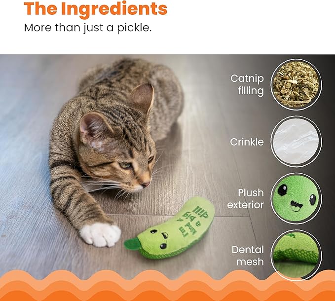 Catnip Plush Crinkle Toy for Indoor Cats