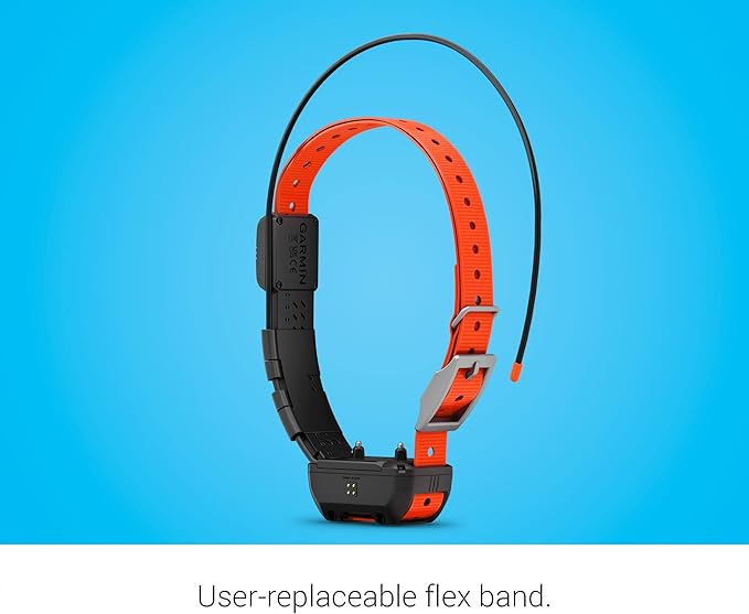 Comfortable pet collar strap for daily outdoor use