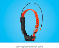 Comfortable pet collar strap for daily outdoor use