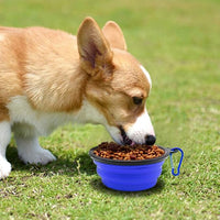 Compact folding pet bowl easy to carry lightweight dog feeding dish