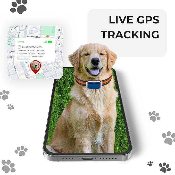 Compact pet collar holder for everyday outdoor use