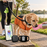 Complete dog walking bundle with coat, leash, water bottle and outdoor pet accessories