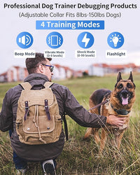 Daily walk dog collar design with neat practical style
