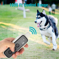 Daily walk pet collar strap with simple adjustable fitting