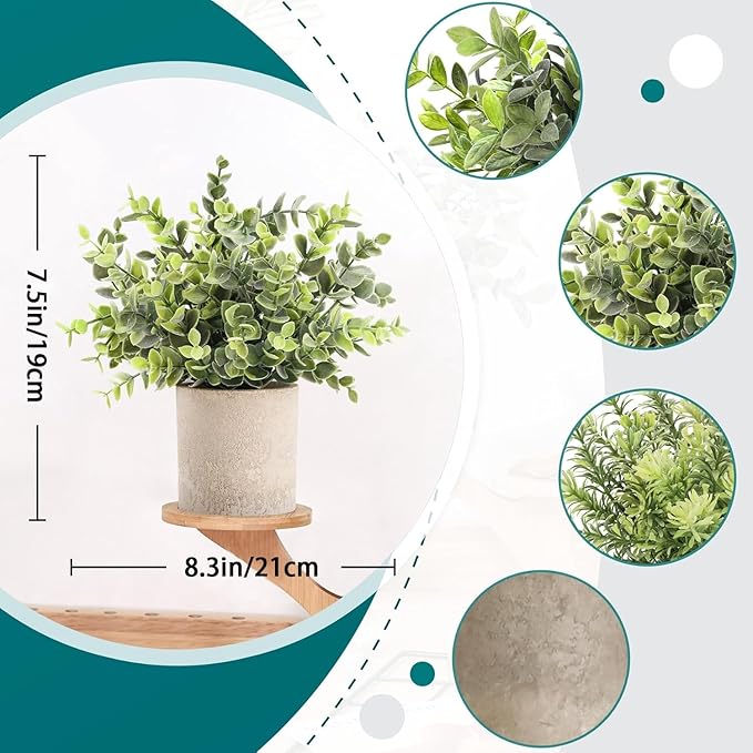 Indoor Plants