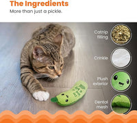Dental Mesh Crunchy Pickle Cat Toy for Healthy Chewing and Play