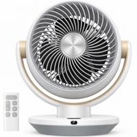 Desk Fan