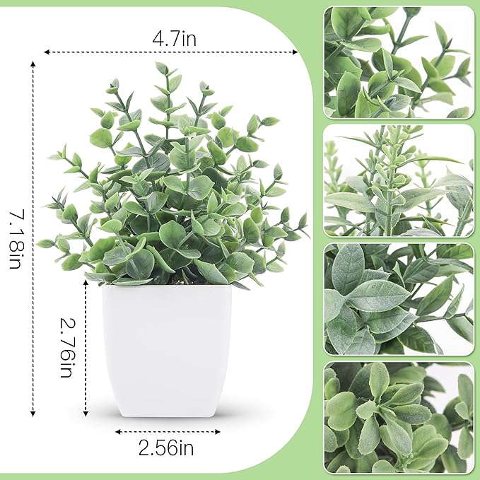 Desk Plants