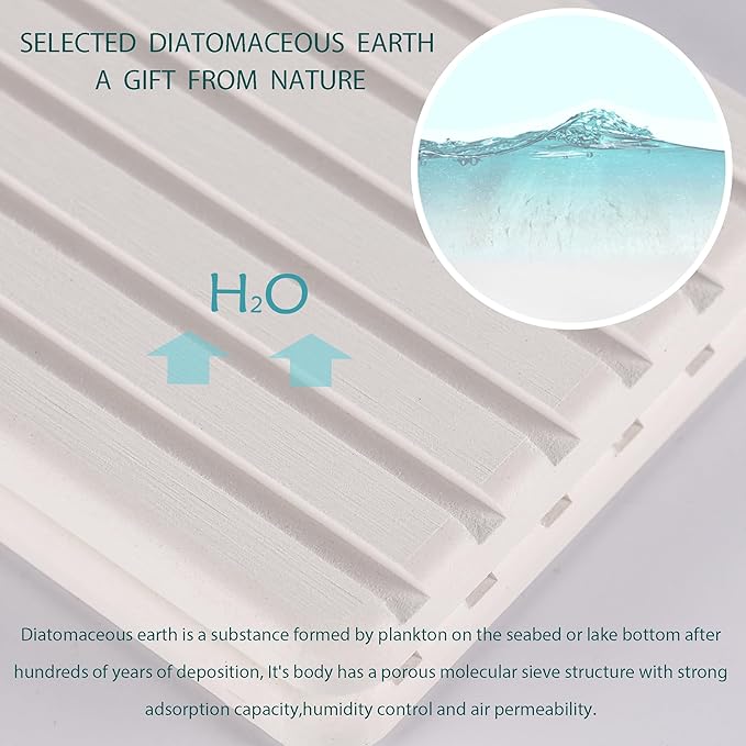 Diatomite Coaster