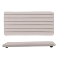 Diatomite Tray