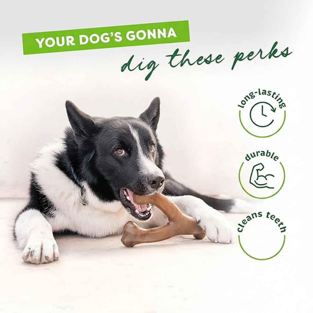 Chew Toy For Dogs With Giant Size Design