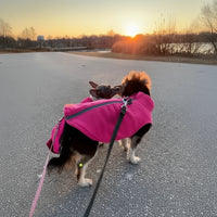 Pink Dog Fleece Vest With Zipper Closure