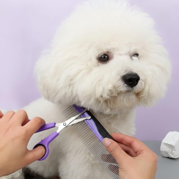 Dog grooming vacuum for collecting loose pet hair