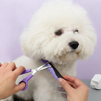 Dog grooming vacuum for collecting loose pet hair