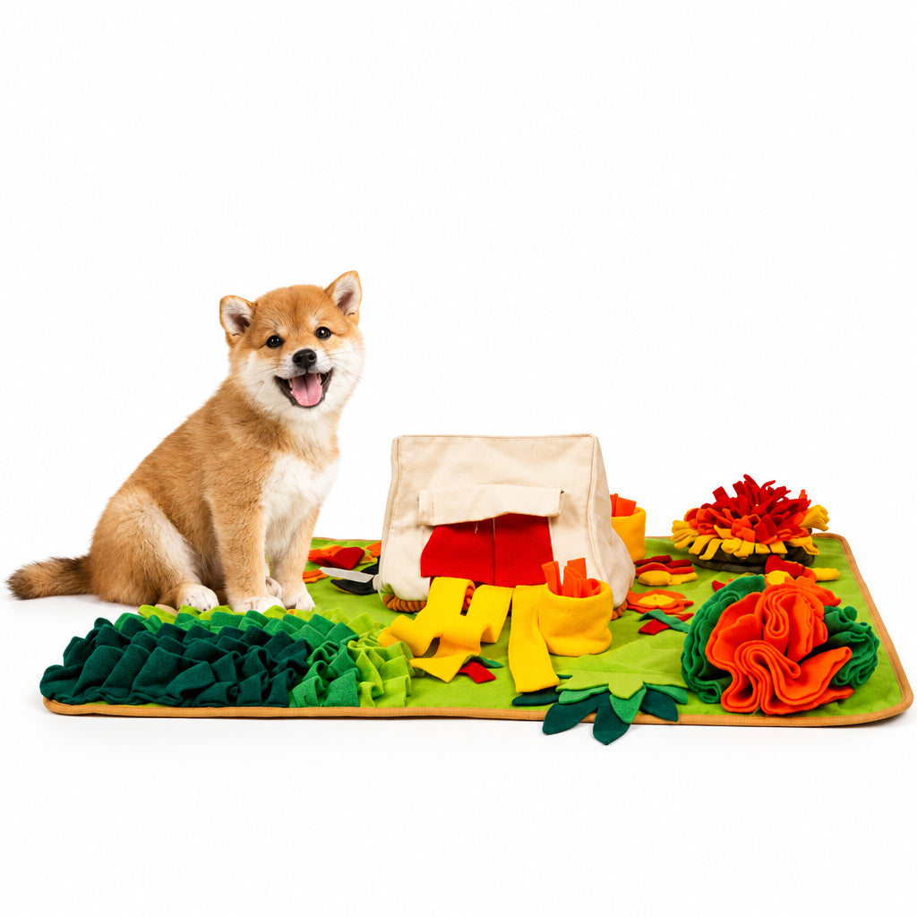 Interactive feeding mat for dogs with treat hiding sections