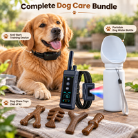 Dog outdoor care essentials for walks and outdoor activities