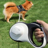 Dog travel leash set with retractable lead and chest strap
