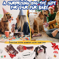 Dog dental chew toy set helps clean teeth and gums
