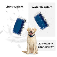 Dog collar accessory holder for daily walking use