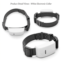 Dog collar accessory holder for daily walking use