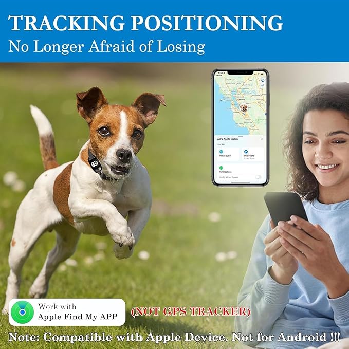 Dog collar attachment accessory with secure compact fit