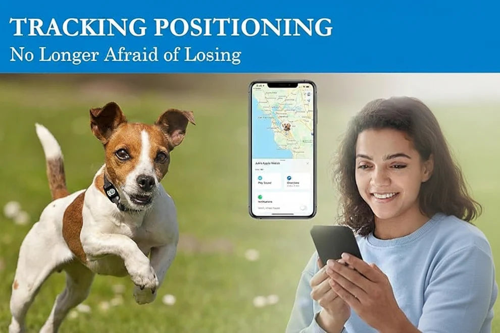 Smart Pet Collar Accessory with Outdoor Walking Support for Dogs