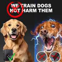Dog walking guidance tool with simple button control