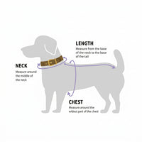 Dog harness with quick attach walking leash